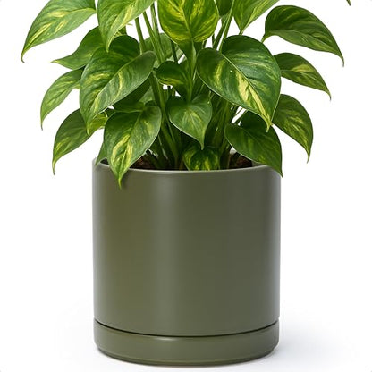 D'vine Dev 8.2 Inch Ceramic Planter Pot, Olive, 94-O-D-J - color: Olive, size: Medium