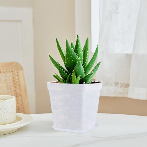 PINGEUI 150 Pcs Nursery Plant Pots, 3Inch Clear Square Herb Pots with Saucers, for Home, Office, Garden