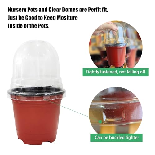 RooTrimmer Plant Nursery Pots with Humidity Domes, 50 Sets 4 Inch Soft Nursery Pots Quality Ones (50 Red Pots + 50 Clear Lids), Quality Seeds Starting with Cover - color: Red Pots With Domes 50p, size: 4Inch