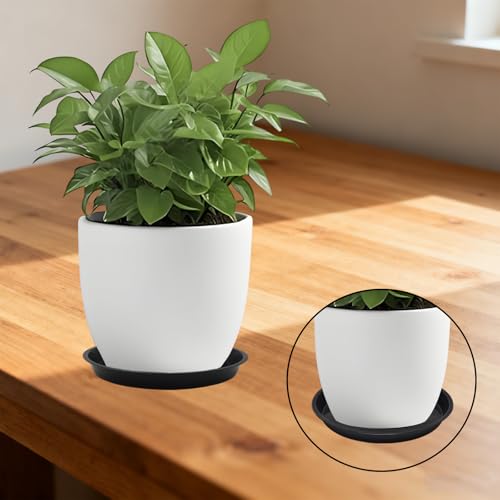6 Pack 10 Inch Black Plant Saucers Plastic Drip Trays for Pots - color: Black, size: 10 Inch