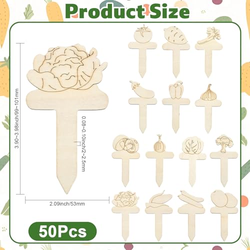 Ipotkitt 50pcs Vegetable Wood Plant Labels Unfinished Wooden Cutouts Garden Markers for Succulent Pot DIY Painting Crafts Herb Vegetable Identification - color: Vegetable Wood Plant Labels_50pcs