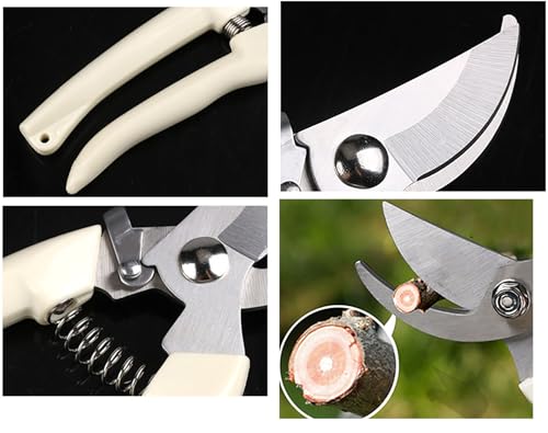 2PCS Garden Flower Shears Pruning Shears 6.9 inches Scissors Heavy Duty Plant Scissors for Cutting Flowers, Trimming Plants, Bonsai, Fruits Picking (White Handle 2pcs) - style: White Handle 2pcs