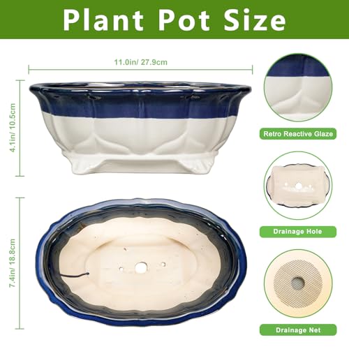 11 Inch Succulent Planters - Ceramic Bonsai Pots with Drainage Hole, Bonsai Planter for Indoor Outdoor Plants, Large Shallow Planter, Patio Garden Decor, Gifts for Plant Lover, Oval Beige-Blue - color: Oval Beige-blue, size: 11 Inch