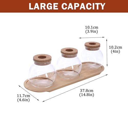 Plant Propagation Station, Glass Propagation Vases with Lid and Wooden Stand, Prop Drops Terrarium Jar for Hydroponics Home Garden Office Decor, 3 Bulb Vase