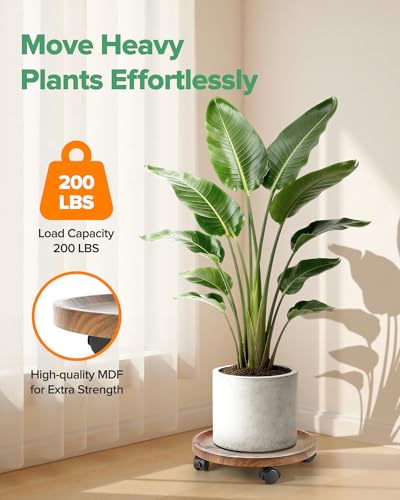 2 Pack Plant Caddy with Wheels, 14" Wood Rolling Plant Stand with 360° Lockable Wheels, Plant Stands Outdoor for Large Plants, Flower Cart Plant Dolly Plant Caster for Heavy Objects, Walnut - color: 14inch-Walnut