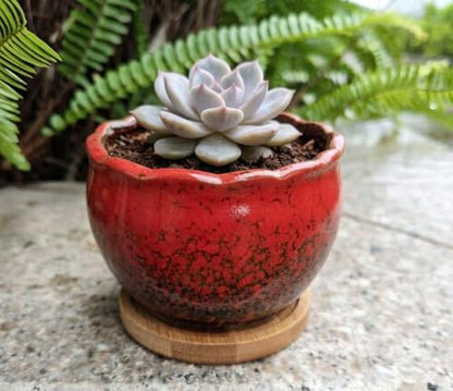 Cute 3.9 Inch Ceramic Home Garden Decoration Succulent Cactus Flower Pots Container -Plant Not Included，Red - color: Red