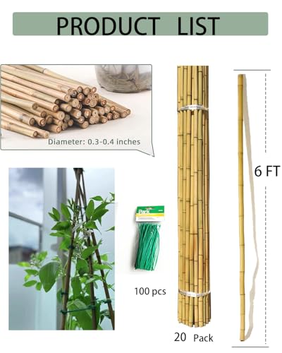 6 Ft Bamboo Stakes with 100 Twist Ties Natural Bamboo Garden Stakes for Dahlias Cucumber Grapes Pole Beans Trees Potted Dahlia Flowers and Climbing Plants - Pack of 20 - size: 6 FT -20 PACK & Ties