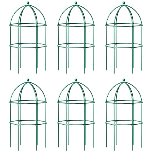 DoCred 6 Pack Peony Cage, 15.7" x 31.5" Metal Plant Support Garden Trellis - size: 31.5"H x 15.7"W/6PC