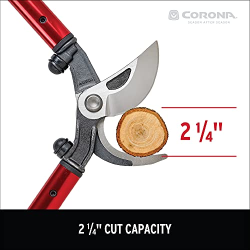 Corona Tools | 32-inch Branch Cutter MAXFORGED Orchard Loppers | Tree Trimmer Cuts Branches up to 2 ¼-inches in Diameter | AL 8462, Red - size: Size 32"