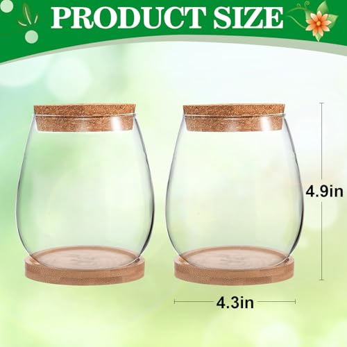 Biggun 2 Pcs Glass Plants Propagation Stations for Home Office Decor