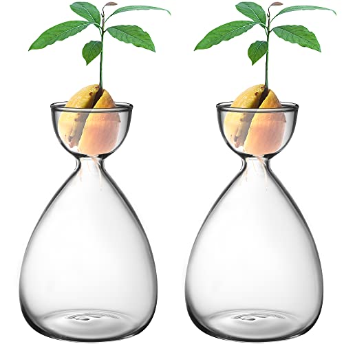 2pcs Small Avocado Seed Starter Vase, Avocado Tree Growing Kit, Avocados Glass Plant Pot Vase Gifts for Gardening Lovers (2pc Avocados vases)