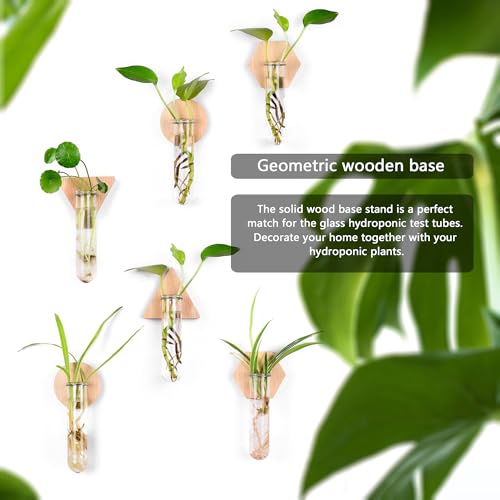 Wall Hanging Glass Planter Plant Propagation Station
