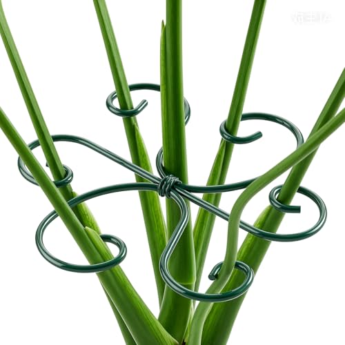 4PCS Monstera Plant Support, 4.1IN Green Metal Plant Stem Support Stakes, Adjustable Indoor Outdoor Potted Climbing Plant Stakes, Monstera Stabilizer Supports - color: Bright Green