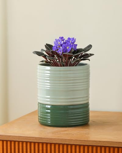 Fayoula Self Watering Pots for Indoor Plants, 6 Inch Ceramic Self Watering Plant Pot, Planter Pot with Wick Rope and Drainage Hole for African Violet Succulent Herbs (Green Light) - color: Green Light