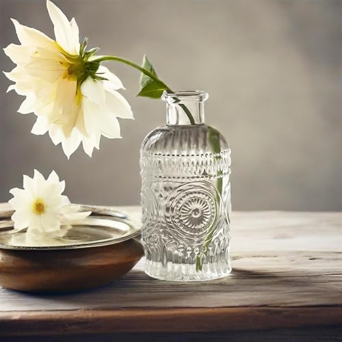 TIWPAJS 2Pcs Propagation Vases for Plants, Bud Vases, Small Glass Vase for Flowers, Home and Table Decor, Shelf, Desk, and Office
