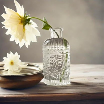 TIWPAJS 2Pcs Propagation Vases for Plants, Bud Vases, Small Glass Vase for Flowers, Home and Table Decor, Shelf, Desk, and Office