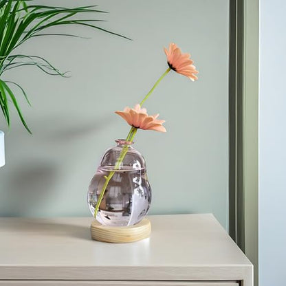 Pink Plant Propagation Cute Bubble Flower Vase Glass Planter Terrarium Jar - color: Pink