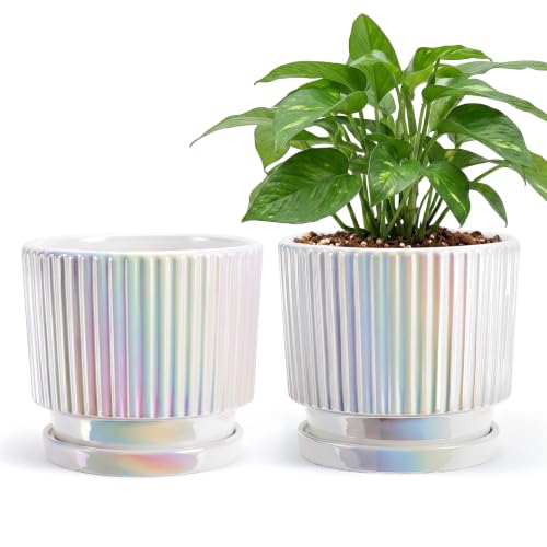 Pearl Plant Pots, Ceramic Flower Pots with Drainage Holes & Saucer Set of 2 - color: 02-brightly White