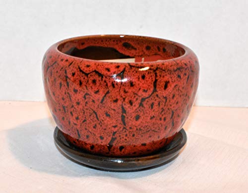 New 6.5" Burnt Red & Black Cheetah Speckled Potbelly Planter Plant Pot & Saucer