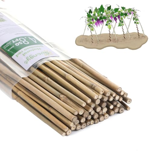 Bamboo Stakes,4.8Feet,50Pcs,Plant Bamboo Post,GUANGYE,Bamboo Garden Stakes - size: 4.8Ft,50Pack