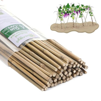 Bamboo Stakes,4.8Feet,50Pcs,Plant Bamboo Post,GUANGYE,Bamboo Garden Stakes - size: 4.8Ft,50Pack