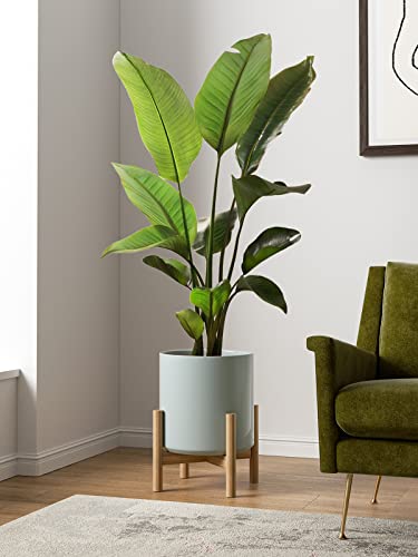 LE TAUCI 12 Inch Pot for Plants, Ceramic Indoor Planter, Mist Gray - color: Mist Gray
