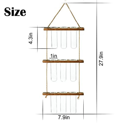 XXXFLOWER Wall Hanging Propagation Station 9 Tube Vases+2 Tiers Star Shaped Glass Flower Vase for Hydroponic Planter