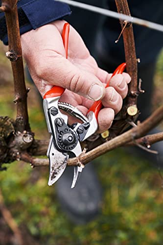 Felco F 14 Pruning Shears – 7.1" Garden Clippers for Small Hands with Bypass & Anvil Blades | Hand Pruners for Gardening | Garden Tool Cutter with Forged Alloy Steel Build, Lightweight Swiss Design - size: F14 Small Ergo
