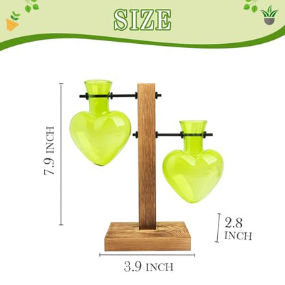 XXXFLOWER Plant Propagation Station Terrarium 2 Green Heart Shaped Vase - color: Green