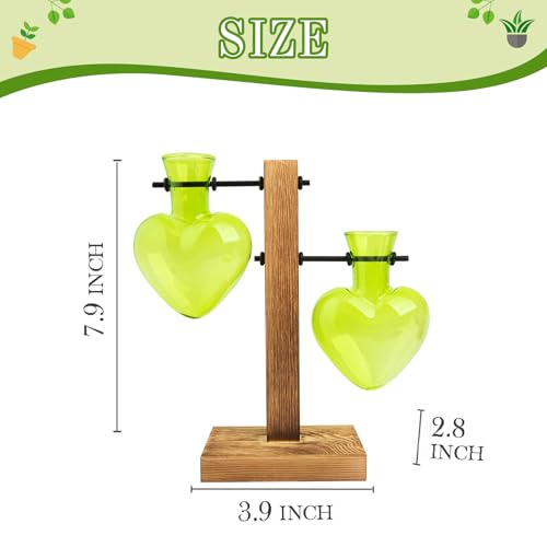 XXXFLOWER Plant Propagation Station Terrarium 2 Green Heart Shaped Vase - color: Green