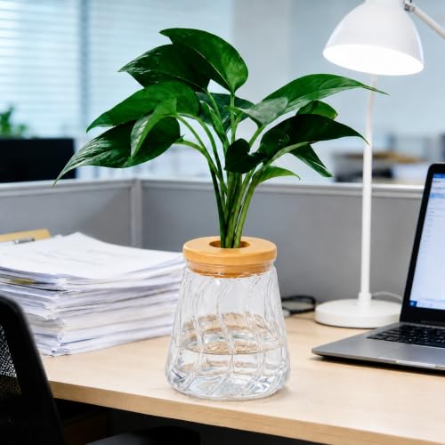 Desktop Plant Hydroponic Vases, Water Plant Jars, Gardening Gifts for Office and Home, Outdoor, Transparent Glacier Pattern - color: Transparent Glacier Pattern