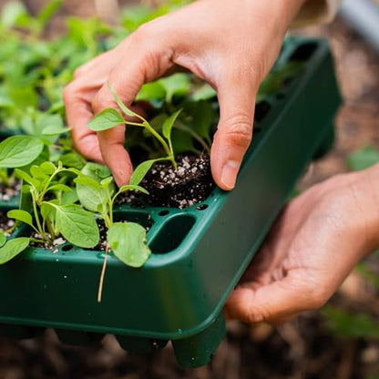 Vego garden 10"" x 20"" 76 Cells Seed Starter Tray Stackable Seedling Starting Germination Trays for Plants Planting Vegetables Herbs Flowers, Green