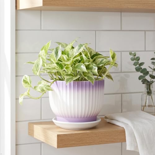 8 Inch Ceramic Plant Pot,Purple + White - color: Purple + White, size: 8 Inch(1 PCS)
