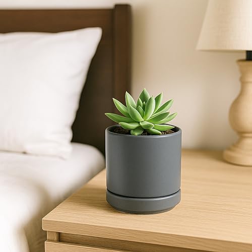 D'vine Dev 2-Pack Ceramic Pots with Saucers, Grey, 3.5 in, 94-V-A-3 - color: Gray, size: 3.5 Inch