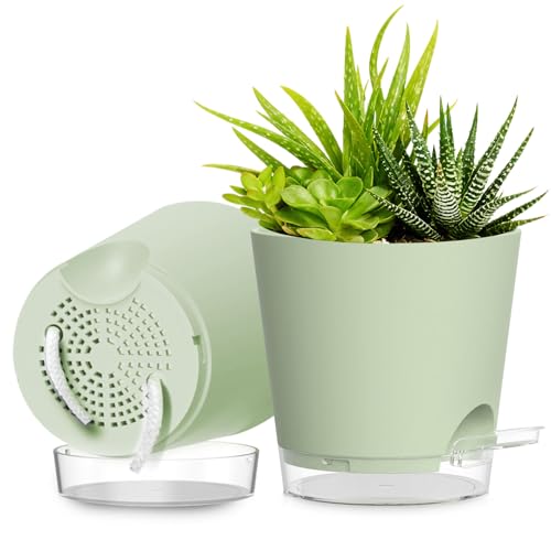 Plant Pots 8 Inch Self Watering Pots, 2 Pack Plastic Planters with Drainage Holes and Clear Saucers,Plastic Flower Pots for Indoor Out Door Plants (Green) - color: Green, size: 8 inch