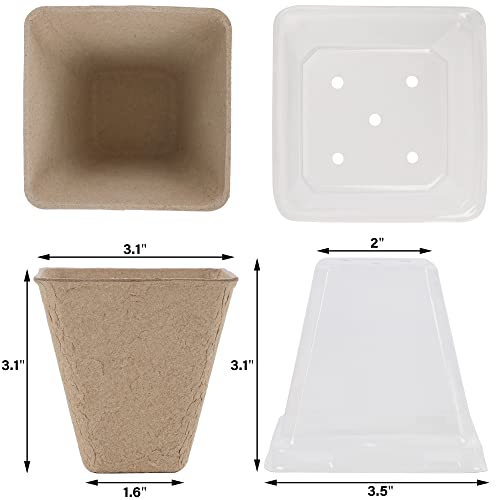 winemana Seed Starter Peat Pots,Biodegradable with Humidity Dome and Labels For Plant Nursery, Seedlings Planting For Indoor Outdoor Garden (Square)36 Set - size: Square