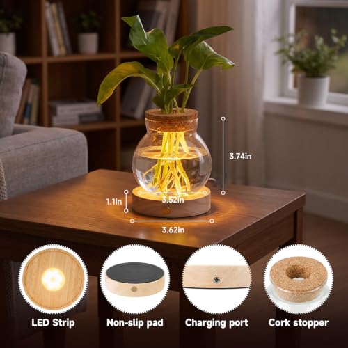 Plant Propagation Station with Wooden Saucer, Glass Terrarium with Stepless Dimming Function Hydroponic Glass Container Vase Jars Gardening Gifts for Mom Women Plant Lovers(2 Pack) - color: Clear 2 Pack