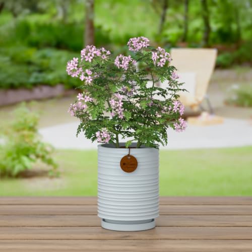 7.1 Inch Blue Ceramic Planter with Drainage and Saucer - color: Light Blue, size: Large