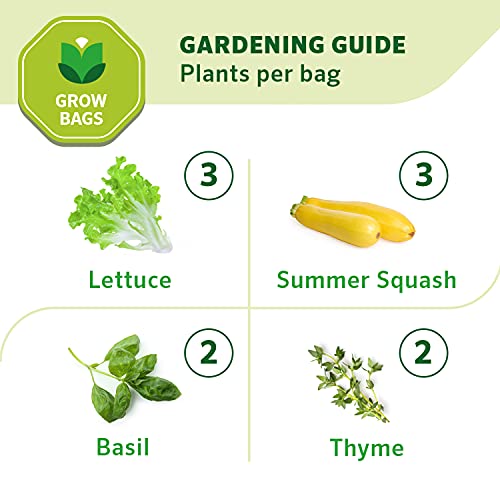 Coolaroo 4-Pack 5 Gallon Heavy Duty Plant/Vegetable/Herb/Fruit Breathable Fabric Grow Planter Pot Bags with Handles, Brick - color: Brick, size: 4 Pack, style: 5 Gallon