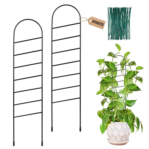 17.5 inch Small Trellis for Potted Plants, Metal Plant Trellis Indoor - color: Ladder-Metal