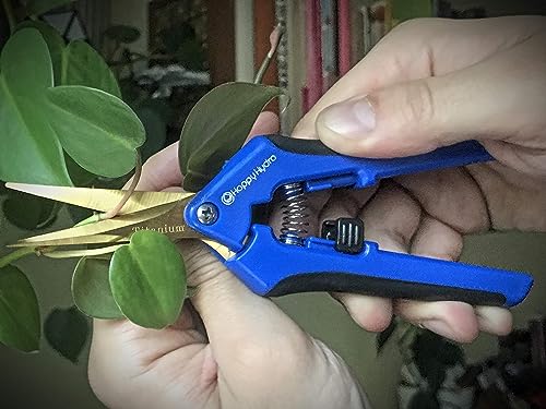 Happy Hydro Trimming Scissors - Curved Tip - Titanium Coated Blades with Spring-Loaded Comfort Grip Handles - 4 Pack - size: 4 Pack