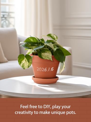 INGOFIN Terracotta Pots Set with Saucer - 2-Pack Ceramic Clay Planters with Drainage Hole, Garden Flower Succulent Pots with Tray for Indoor Outdoor Plants, 8 inch, Set of 2 - size: 8/8 inch -2 pcs
