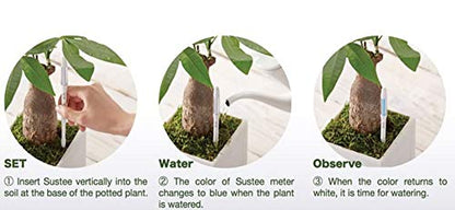 IPPINKA Sustee Aquameter, Bundle of 12, House Plant Soil Moisture Meter, Best for Indoor Potted Plants - Small Green Refillable