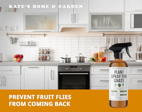 Kate's Home & Garden Plant Spray for Insects & Gnats, 12 Sticky Traps, 16oz - size: 16 Fl Oz (Pack of 1)