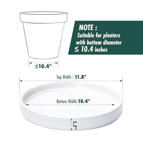 D'vine Dev Ceramic Plant Saucer/Drainage Tray, 10.4 in, White, 97-T-A-5 - color: White, size: 10.4" (1 Pack)