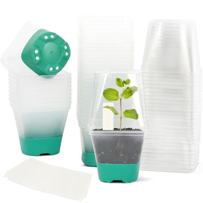 Sankoly 30 Packs Clear Nursery Pots with Plant Labels 3 Inch Plastic Plant Pot with Humidity Domes Silicone Base and Drainage Holes Reusable Seedling Pots