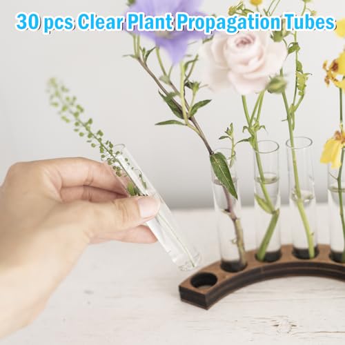 30Pcs 15ml Clear Plastic Test Tubes for Plant Propagation, Hydroponic Flower Vases, Round Bottom Tubes for Science Experiments, Candy Beads Storage, Home Office Wall Decor (5.9", 0.63" Dia)