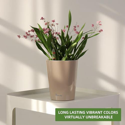 Dexceder 6x7 Self Watering Planter (Taupe) - color: Taupe