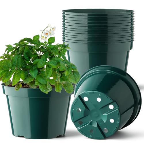 BTPLASTIK 8 Inch Plastic Plant Pots, 15 Pack Sturdy Nursery Pots with Drainage Holes, Flower Planter Pots for Indoor Outdoor, Garden Containers Sets for Vegetable Herbs Flowers, Green - color: Green, size: 8 Inch-15P