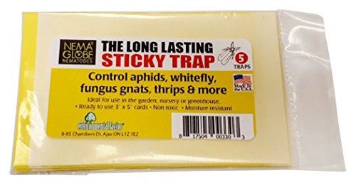 Nema Globe EFI Long Lasting Sticky Traps for Garden, Nursery or Greenhouses, Controls Aphids, Whiteflies, Thrips, Fungus Gnats and More, 3" x 5" Sticky Yellow Cards (10 Traps Per Package)